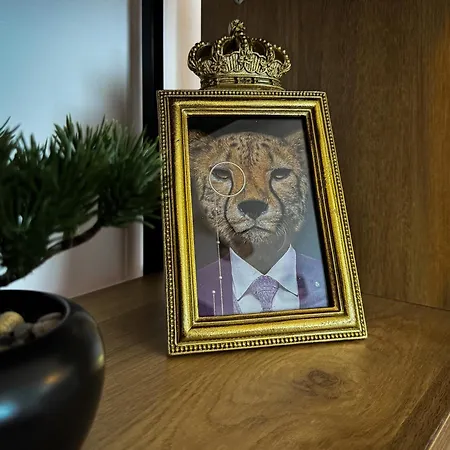 King Clusion Koblenz (Rhineland-Palatinate)