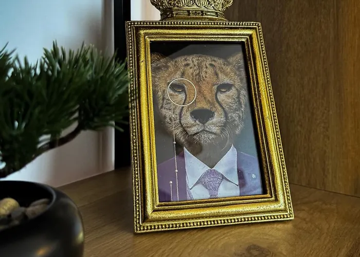 King Clusion Κόμπλεντς